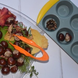 Tweezer Play with conkers and other objects