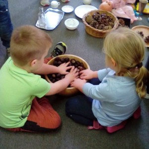 Children practising to count with conkers at nursery